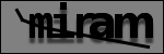 Text per identificar